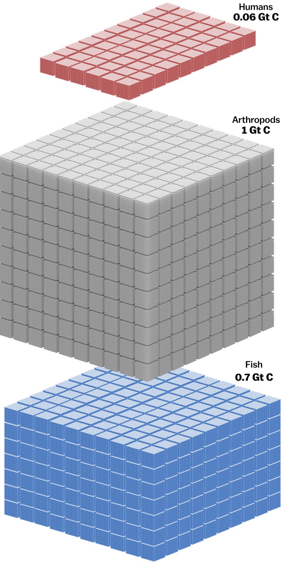 earth-in-one-2.jpg
