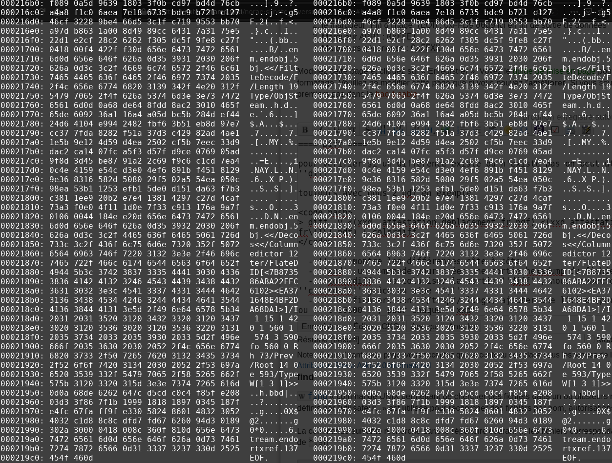 end-output-diff-tests.png