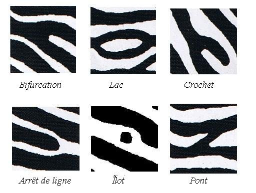 digitprint2.jpg