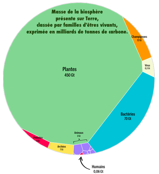 info-bios-crabon-lemonde.png