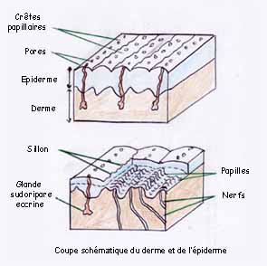 digitprint3.jpg