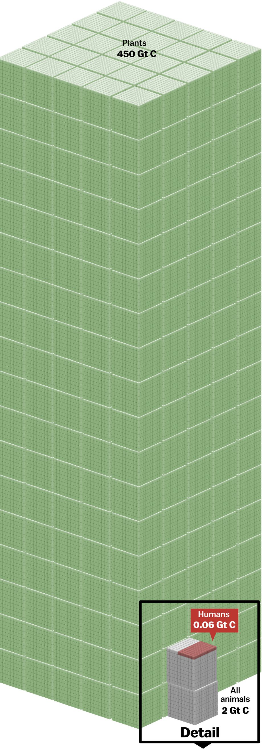 earth-in-one-3.jpg