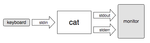 cat-keyboard-and-display.png